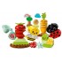 LEGO DUPLO ORGANIC GARDEN LEGO DUPLO ORGANIC GARDEN