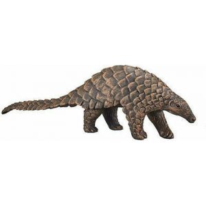 COLLECTA ΠΑΓΚΟΛΙΝΟΣ COLLECTA ΠΑΓΚΟΛΙΝΟΣ