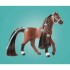 PLAYMOBIL HORSES OF WATERFALL ΕΚΠΑΙΔΕΥΣΗ ΑΛΟΓΟΥ ZOE AND BLAZE PLAYMOBIL HORSES OF WATERFALL ΕΚΠΑΙΔΕΥΣΗ ΑΛΟΓΟΥ ZOE AND BLAZE