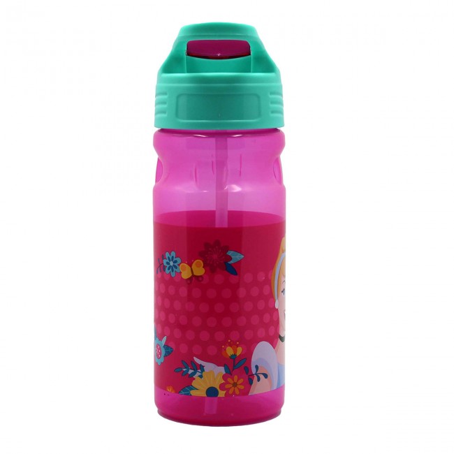 GIM ΠΑΓΟΥΡΙ ΠΛΑΣΤΙΚΟ FLIP 500ml PRINCESS 551-42203 GIM ΠΑΓΟΥΡΙ ΠΛΑΣΤΙΚΟ FLIP 500ml PRINCESS 551-42203