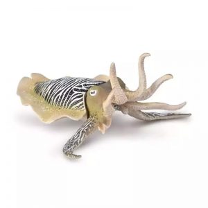 COLLECTA ΚΟΙΝΗ ΣΟΥΠΙΑ 80009 COLLECTA ΚΟΙΝΗ ΣΟΥΠΙΑ 80009