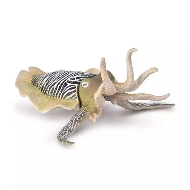 COLLECTA ΚΟΙΝΗ ΣΟΥΠΙΑ 80009