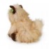 RAPPA ΛΟΎΤΡΙΝΟ ΣΚΥΛΟΣ CAIRN TERRIER 30 ΕΚ. ECO-FRIENDLY RAPPA ΛΟΎΤΡΙΝΟ ΣΚΥΛΟΣ CAIRN TERRIER 30 ΕΚ. ECO-FRIENDLY