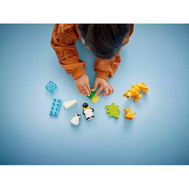 LEGO DUPLO ΟΙΚΟΓΕΝΕΙΕΣ ΑΓΡΙΩΝ ΖΩΩΝ ΠΙΓΚΟΥΙΝΟΙ ΚΑΙ ΛΙΟΝΤΑΡΙΑ LEGO DUPLO ΟΙΚΟΓΕΝΕΙΕΣ ΑΓΡΙΩΝ ΖΩΩΝ ΠΙΓΚΟΥΙΝΟΙ ΚΑΙ ΛΙΟΝΤΑΡΙΑ