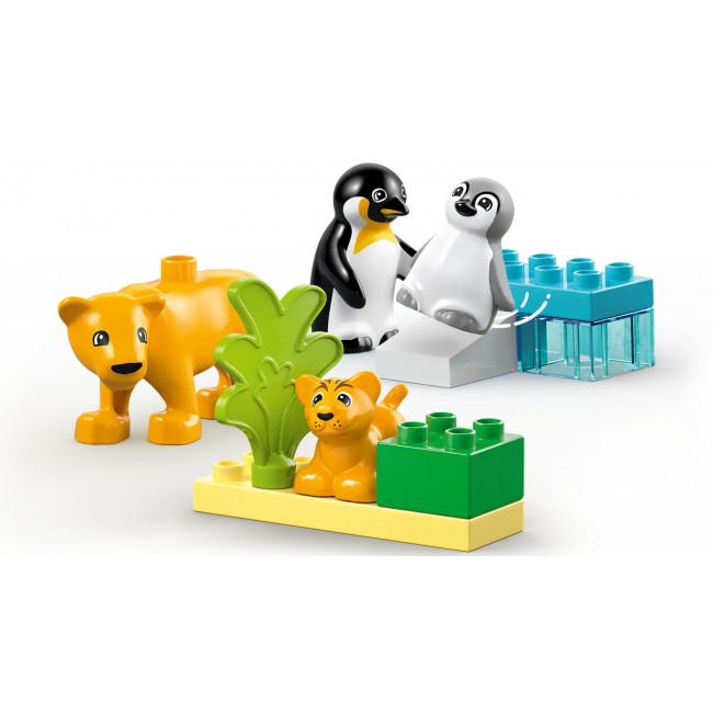 LEGO DUPLO ΟΙΚΟΓΕΝΕΙΕΣ ΑΓΡΙΩΝ ΖΩΩΝ ΠΙΓΚΟΥΙΝΟΙ ΚΑΙ ΛΙΟΝΤΑΡΙΑ LEGO DUPLO ΟΙΚΟΓΕΝΕΙΕΣ ΑΓΡΙΩΝ ΖΩΩΝ ΠΙΓΚΟΥΙΝΟΙ ΚΑΙ ΛΙΟΝΤΑΡΙΑ