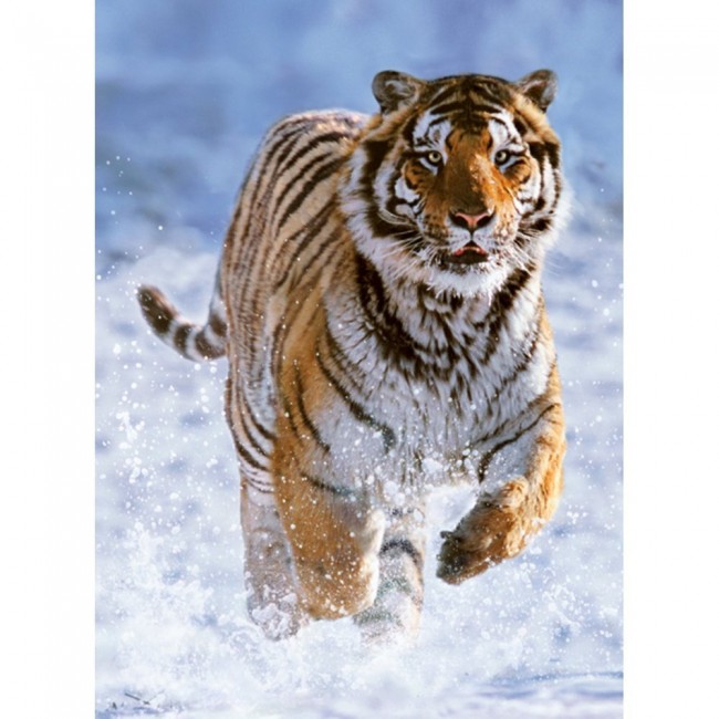 RAVENSBURGER PUZZLE 500 TEM. ΤΙΓΡΗΣ RAVENSBURGER PUZZLE 500 TEM. ΤΙΓΡΗΣ
