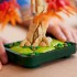 LEGO BOTANICALS ΜΠΟΝΣΑΙ ΚΟΚΚΙΝΟΣ ΙΑΠΩΝΙΚΟΣ ΣΦΕΝΔΑΜΟΣ (10348) LEGO BOTANICALS ΜΠΟΝΣΑΙ ΚΟΚΚΙΝΟΣ ΙΑΠΩΝΙΚΟΣ ΣΦΕΝΔΑΜΟΣ (10348)