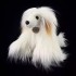 RAPPA ΛΟΥΤΡΙΝΟ ΣΚΥΛΟΣ CHINESE CRESTED 30 ΕΚ ECO-FRIENDLY RAPPA ΛΟΥΤΡΙΝΟ ΣΚΥΛΟΣ CHINESE CRESTED 30 ΕΚ ECO-FRIENDLY