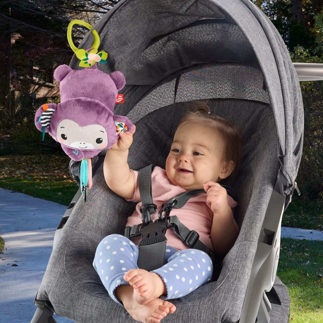 FISHER PRICE ΜΩΒ ΚΡΕΜΑΣΤΟ ΜΑΙΜΟΥΔΑΚΙ ΜΕ ΜΟΥΣΙΚΗ FISHER PRICE ΜΩΒ ΚΡΕΜΑΣΤΟ ΜΑΙΜΟΥΔΑΚΙ ΜΕ ΜΟΥΣΙΚΗ