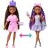 BARBIE DREAM BESTIES GRWB ΚΟΥΚΛΑ BROOKLYN BARBIE DREAM BESTIES GRWB ΚΟΥΚΛΑ BROOKLYN