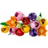 LEGO BOTANICALS TULIP BOUQUET LEGO BOTANICALS TULIP BOUQUET