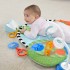 FISHER PRICE ΓΥΜΝΑΣΤΗΡΙΟ ΜΕ ΛΟΥΛΟΥΔΙ 3 ΣΕ 1 HYR60