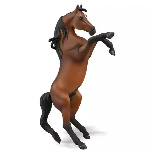 COLLECTA XL ΑΡΑΒΙΚΟΣ ΕΠΙΒΗΤΟΡΑΣ ΚΑΦΕ ΣΟΥΖΑ 88993 COLLECTA XL ΑΡΑΒΙΚΟΣ ΕΠΙΒΗΤΟΡΑΣ ΚΑΦΕ ΣΟΥΖΑ 88993
