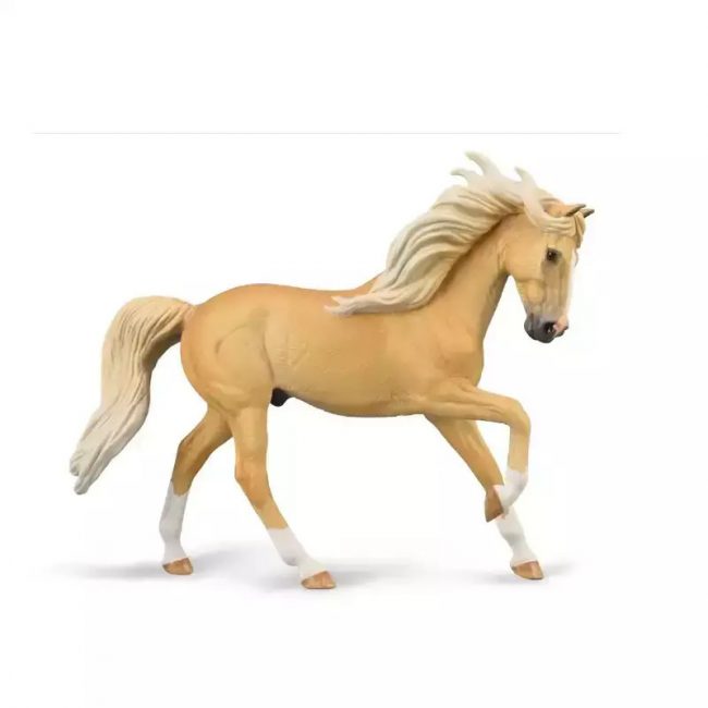 COLLECTA XL ΑΝΔΑΛΟΥΣΙΑΝΟΣ ΕΠΙΒΗΤΟΡΑΣ ΚΑΣΤΑΝΟΞΑΝΘΟΣ 88984 COLLECTA XL ΑΝΔΑΛΟΥΣΙΑΝΟΣ ΕΠΙΒΗΤΟΡΑΣ ΚΑΣΤΑΝΟΞΑΝΘΟΣ 88984