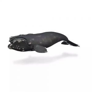 COLLECTA XL ΣΩΣΤΗ ΦΑΛΑΙΝΑ 88740 COLLECTA XL ΣΩΣΤΗ ΦΑΛΑΙΝΑ 88740