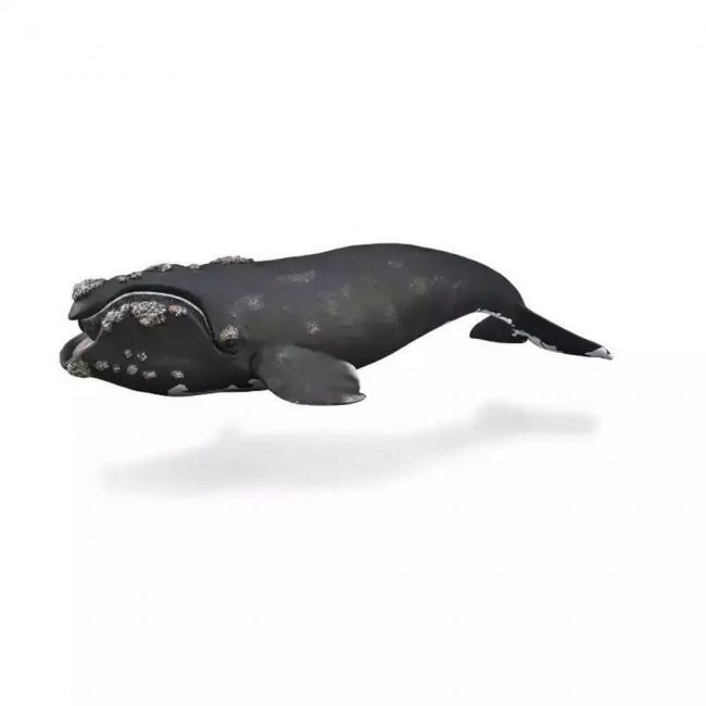 COLLECTA XL ΣΩΣΤΗ ΦΑΛΑΙΝΑ 88740