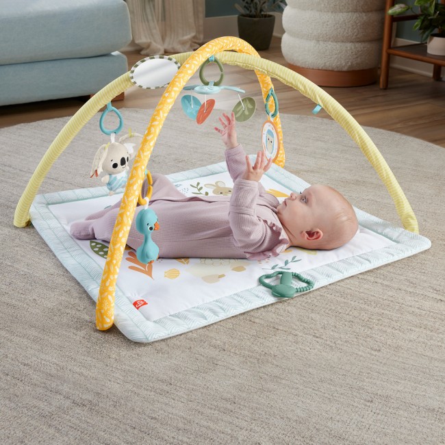 FISHER PRICE ΓΥΜΝΑΣΤΗΡΙΟ - ΟΙ ΠΡΩΤΕΣ ΤΟΥ ΑΙΣΘΗΣΕΙΣ FISHER PRICE ΓΥΜΝΑΣΤΗΡΙΟ - ΟΙ ΠΡΩΤΕΣ ΤΟΥ ΑΙΣΘΗΣΕΙΣ