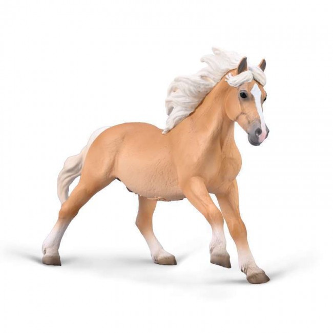 COLLECTA ΧΑΦΛΙΝΓΚΕΡ ΕΠΙΒΗΤΟΡΑΣ COLLECTA ΧΑΦΛΙΝΓΚΕΡ ΕΠΙΒΗΤΟΡΑΣ