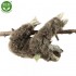 RAPPA ΛΟΎΤΡΙΝΟ ΒΡΑΔΎΠΟΥΣ 30 ΕΚ. ECO-FRIENDLY (220836) RAPPA ΛΟΎΤΡΙΝΟ ΒΡΑΔΎΠΟΥΣ 30 ΕΚ. ECO-FRIENDLY (220836)