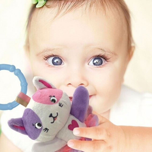 BABY CLEMENTONI ΒΡΕΦΙΚΟ ΠΑΙΧΝΙΔΙ ΚΟΥΔΟΥΝΙΣΤΡΑ ΜΑΛΑΚΗ ΓΑΤΟΥΛΑ BABY CLEMENTONI ΒΡΕΦΙΚΟ ΠΑΙΧΝΙΔΙ ΚΟΥΔΟΥΝΙΣΤΡΑ ΜΑΛΑΚΗ ΓΑΤΟΥΛΑ