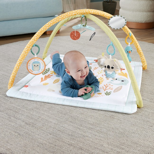 FISHER PRICE ΓΥΜΝΑΣΤΗΡΙΟ - ΟΙ ΠΡΩΤΕΣ ΤΟΥ ΑΙΣΘΗΣΕΙΣ FISHER PRICE ΓΥΜΝΑΣΤΗΡΙΟ - ΟΙ ΠΡΩΤΕΣ ΤΟΥ ΑΙΣΘΗΣΕΙΣ