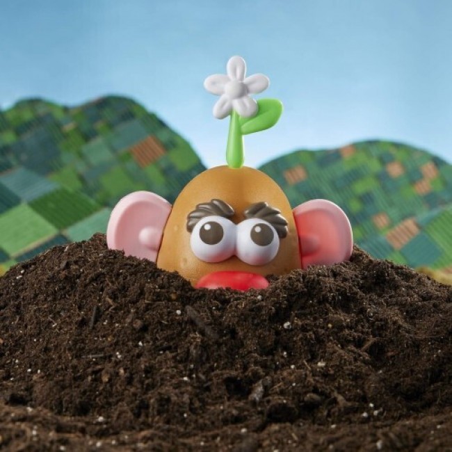 MR POTATO HEAD GOES GREEN (F1053) MR POTATO HEAD GOES GREEN (F1053)