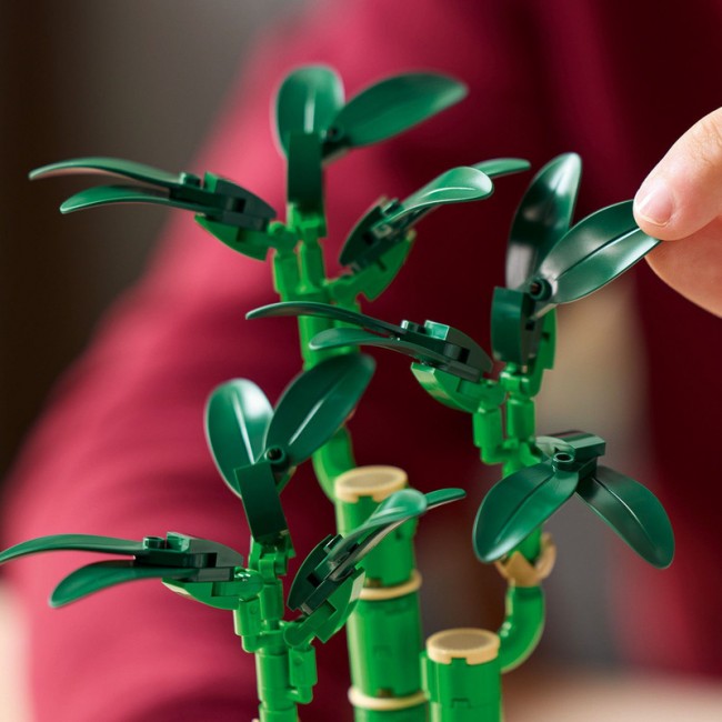 LEGO BOTANICAL COLLECTION: LUCKY BAMBOO LEGO BOTANICAL COLLECTION: LUCKY BAMBOO