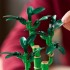 LEGO BOTANICAL COLLECTION: LUCKY BAMBOO LEGO BOTANICAL COLLECTION: LUCKY BAMBOO