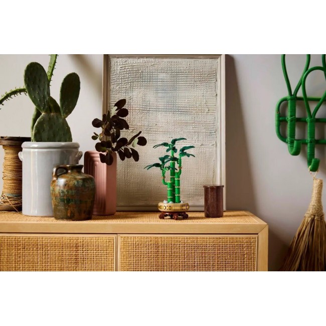 LEGO BOTANICAL COLLECTION: LUCKY BAMBOO LEGO BOTANICAL COLLECTION: LUCKY BAMBOO