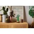 LEGO BOTANICAL COLLECTION: LUCKY BAMBOO LEGO BOTANICAL COLLECTION: LUCKY BAMBOO