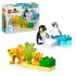 LEGO DUPLO ΟΙΚΟΓΕΝΕΙΕΣ ΑΓΡΙΩΝ ΖΩΩΝ ΠΙΓΚΟΥΙΝΟΙ ΚΑΙ ΛΙΟΝΤΑΡΙΑ LEGO DUPLO ΟΙΚΟΓΕΝΕΙΕΣ ΑΓΡΙΩΝ ΖΩΩΝ ΠΙΓΚΟΥΙΝΟΙ ΚΑΙ ΛΙΟΝΤΑΡΙΑ