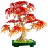 LEGO BOTANICALS ΜΠΟΝΣΑΙ ΚΟΚΚΙΝΟΣ ΙΑΠΩΝΙΚΟΣ ΣΦΕΝΔΑΜΟΣ (10348) LEGO BOTANICALS ΜΠΟΝΣΑΙ ΚΟΚΚΙΝΟΣ ΙΑΠΩΝΙΚΟΣ ΣΦΕΝΔΑΜΟΣ (10348)