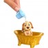 DISNEY PRINCESS BATHE & BRUSH BELLE ΚΟΥΚΛΑ ΠΕΝΤΑΜΟΡΦΗ ΚΑΙ ΖΩΑΚΙ JFC42 DISNEY PRINCESS BATHE & BRUSH BELLE ΚΟΥΚΛΑ ΠΕΝΤΑΜΟΡΦΗ ΚΑΙ ΖΩΑΚΙ JFC42