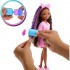 BARBIE DREAM BESTIES GRWB ΚΟΥΚΛΑ BROOKLYN BARBIE DREAM BESTIES GRWB ΚΟΥΚΛΑ BROOKLYN