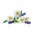 LEGO BOTANICALS DAISIES ΜΑΡΓΑΡΙΤΕΣ