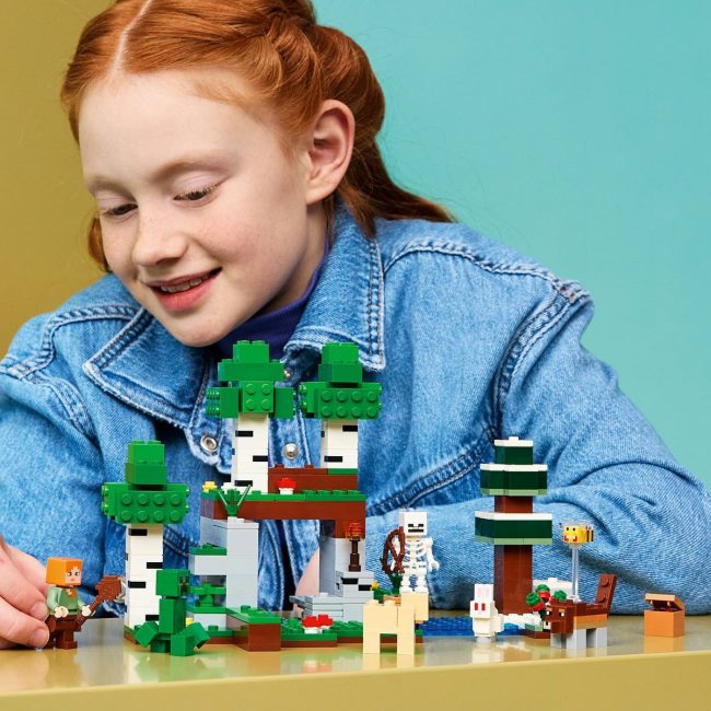 LEGO MINECRAFT FIRST NIGHT ADVENTURE