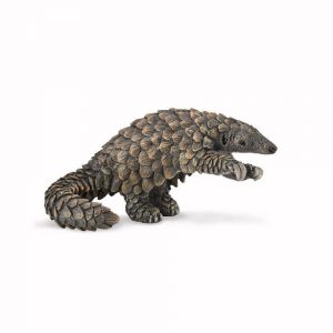 COLLECTA ΠΑΓΚΟΛΙΝΟΣ
