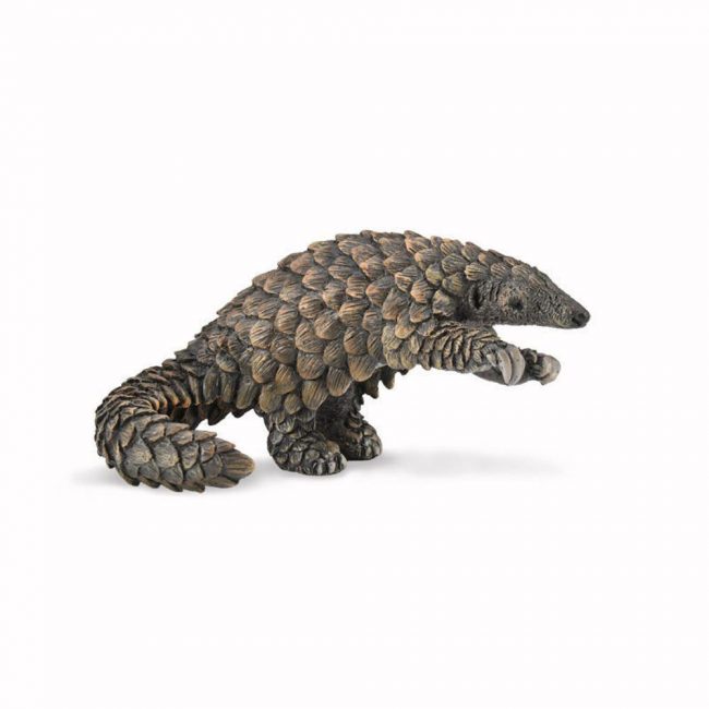 COLLECTA ΠΑΓΚΟΛΙΝΟΣ