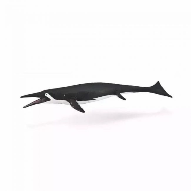COLLECTA ΣΑΣΤΑΣΑΥΡΟΣ COLLECTA ΣΑΣΤΑΣΑΥΡΟΣ