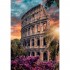 CLEMENTONI HIGH QUALITY PUZZLE FLAVIAR AMPHITHEATRE CLEMENTONI HIGH QUALITY PUZZLE FLAVIAR AMPHITHEATRE