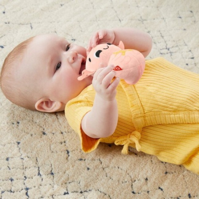 FISHER PRICE SENSIMALS - ΣΕΤ ΔΩΡΟΥ FISHER PRICE SENSIMALS - ΣΕΤ ΔΩΡΟΥ