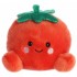 AURORA PALM PALS ΛΟΥΤΡΙΝΟ BOYD TOMATO 13 EK AURORA PALM PALS ΛΟΥΤΡΙΝΟ BOYD TOMATO 13 EK