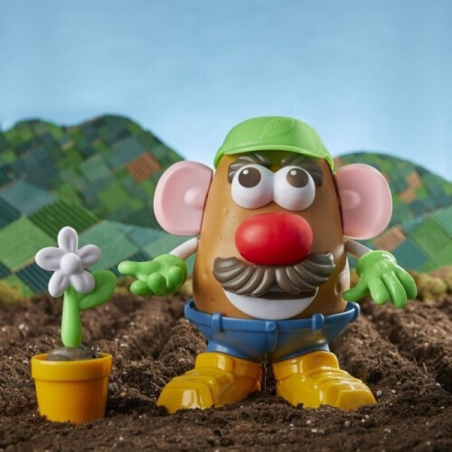 MR POTATO HEAD GOES GREEN (F1053) MR POTATO HEAD GOES GREEN (F1053)