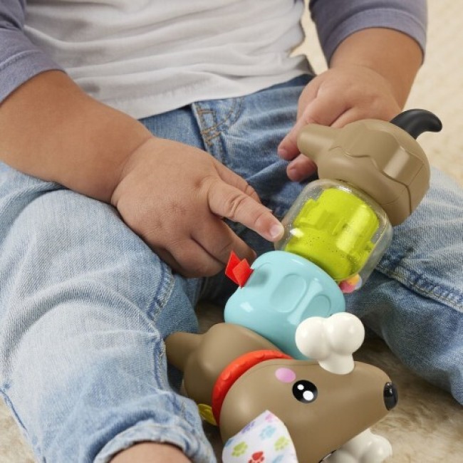 FISHER PRICE CLICK & SPIN ΣΚΥΛΑΚΙ ΔΡΑΣΤΗΡΙΟΤΗΤΩΝ FISHER PRICE CLICK & SPIN ΣΚΥΛΑΚΙ ΔΡΑΣΤΗΡΙΟΤΗΤΩΝ
