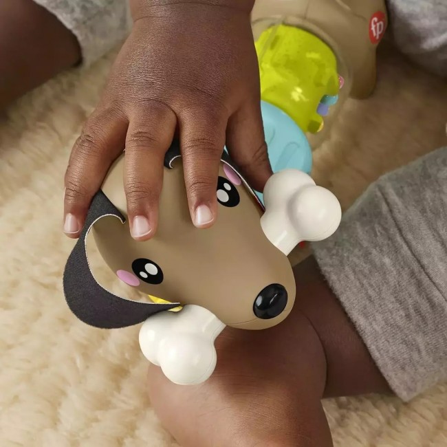FISHER PRICE CLICK & SPIN ΣΚΥΛΑΚΙ ΔΡΑΣΤΗΡΙΟΤΗΤΩΝ FISHER PRICE CLICK & SPIN ΣΚΥΛΑΚΙ ΔΡΑΣΤΗΡΙΟΤΗΤΩΝ