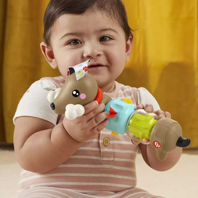 FISHER PRICE CLICK & SPIN ΣΚΥΛΑΚΙ ΔΡΑΣΤΗΡΙΟΤΗΤΩΝ FISHER PRICE CLICK & SPIN ΣΚΥΛΑΚΙ ΔΡΑΣΤΗΡΙΟΤΗΤΩΝ