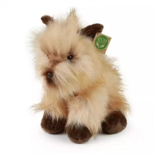 RAPPA ΛΟΎΤΡΙΝΟ ΣΚΥΛΟΣ CAIRN TERRIER 30 ΕΚ. ECO-FRIENDLY RAPPA ΛΟΎΤΡΙΝΟ ΣΚΥΛΟΣ CAIRN TERRIER 30 ΕΚ. ECO-FRIENDLY