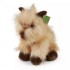 RAPPA ΛΟΎΤΡΙΝΟ ΣΚΥΛΟΣ CAIRN TERRIER 30 ΕΚ. ECO-FRIENDLY RAPPA ΛΟΎΤΡΙΝΟ ΣΚΥΛΟΣ CAIRN TERRIER 30 ΕΚ. ECO-FRIENDLY
