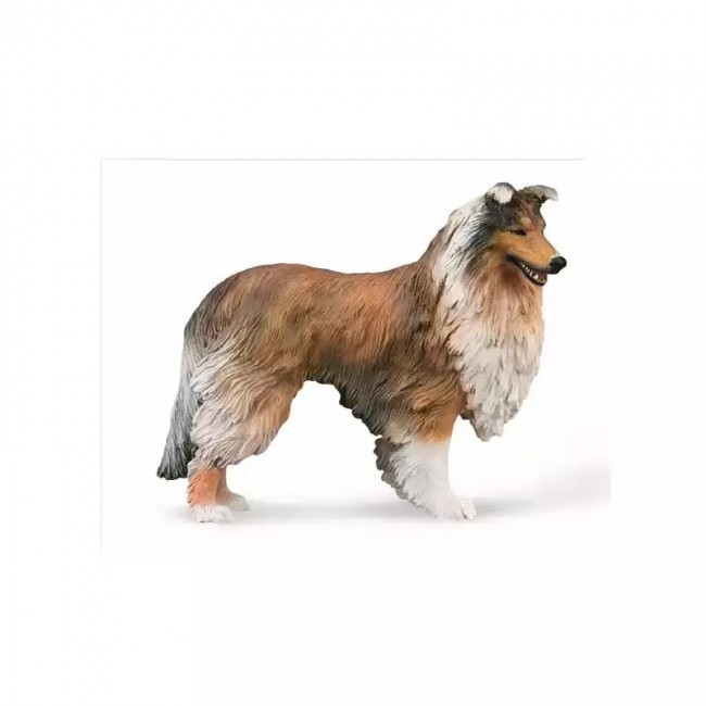 COLLECTA ΒΑΣΙΛΙΚΟ ΚΟΛΕΙ