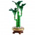 LEGO BOTANICAL COLLECTION: LUCKY BAMBOO LEGO BOTANICAL COLLECTION: LUCKY BAMBOO